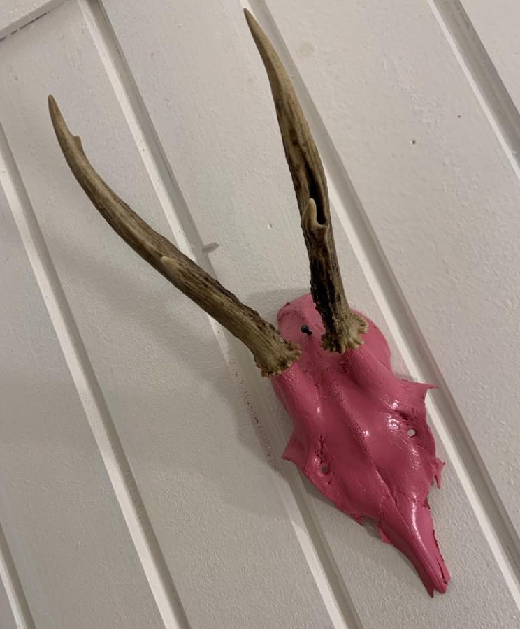 Pinkdeer Hallstatt