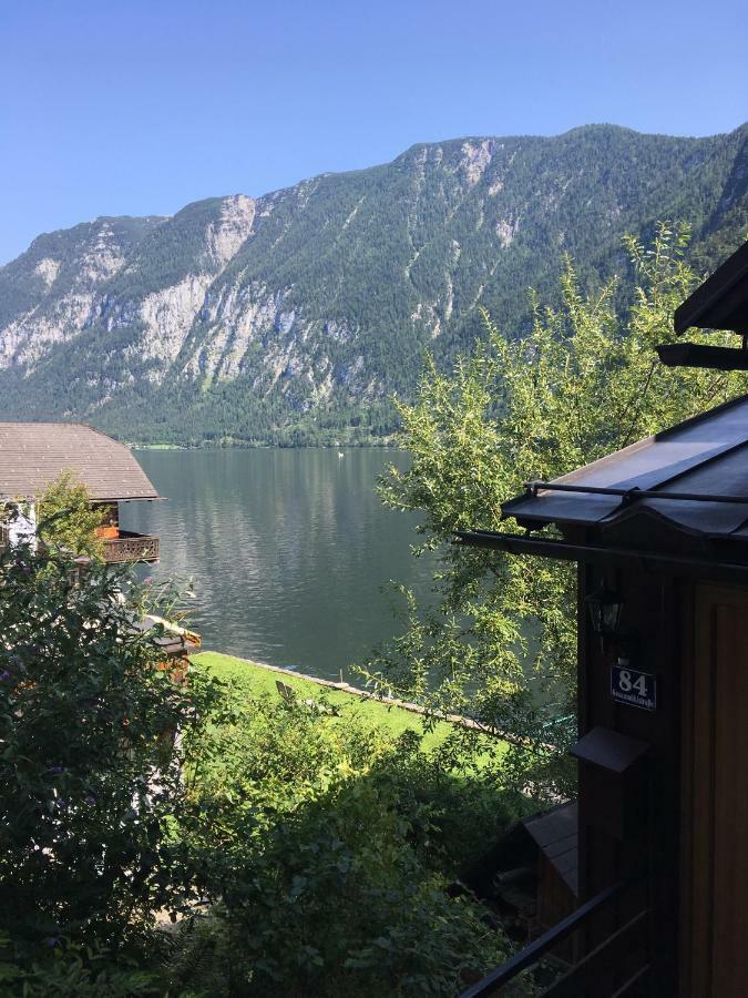 Pinkdeer Hallstatt